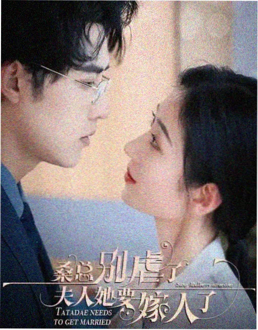 回声档案剧集条目封面